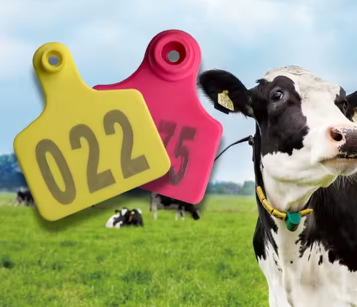 Long-range UHF RFID livestock ear tag